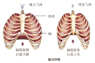 運動;呼吸訓練;腹式呼吸;深呼吸;肺功能檢測儀;呼吸訓練器;慢阻肺