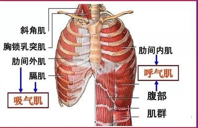 肺炎-呼吸訓練器-基層肺功能-腦卒中-心血管病-中風-腦梗-慢阻肺-哮喘-呼吸肌-排痰-肺功能檢測儀-賽客