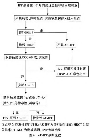 鐘南山-肺-肺康復-特發性肺纖維化-肺炎-間質性肺炎-間質性肺纖維化-IPF-AE-IPF-普通型間質性肺炎-UIP-磨玻璃密度影-GGO