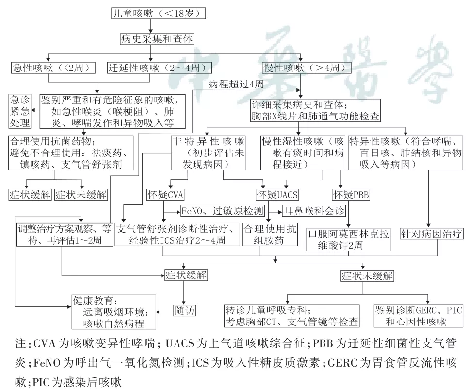 咳嗽-診療-指南-兒童-共識-肺通氣功能-檢查-咳嗽變異性哮喘-哮喘-支氣管擴張-上氣道咳嗽綜合征-吸入性糖皮質激素